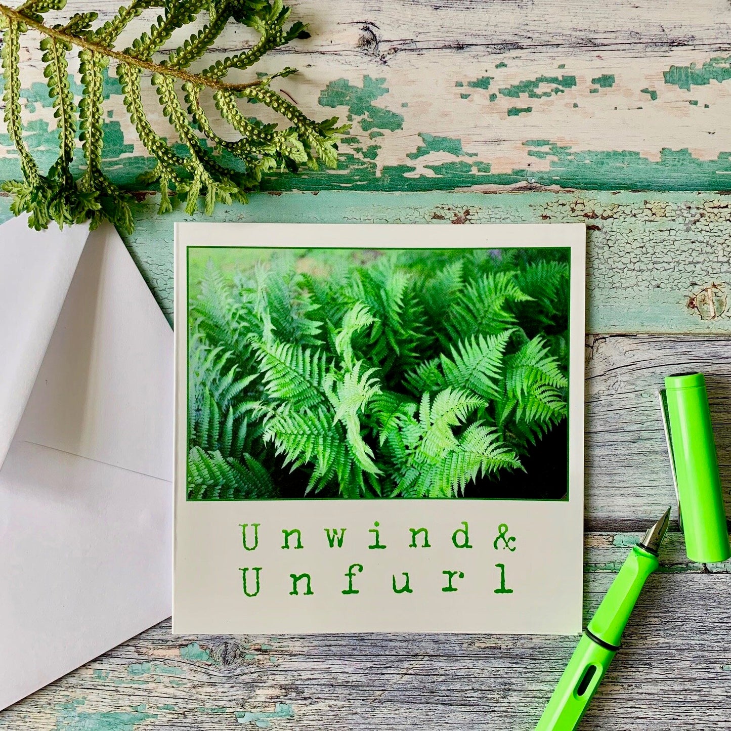 Unwind & Unfurl
