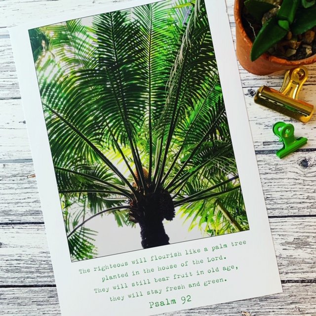 Flourish Gift Box with Print