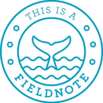 Fieldnote
