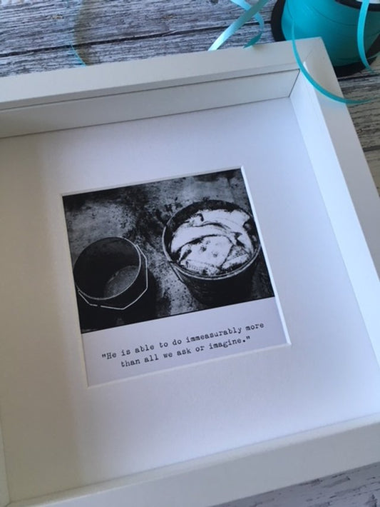 Immeasurably More Framed Fieldnote