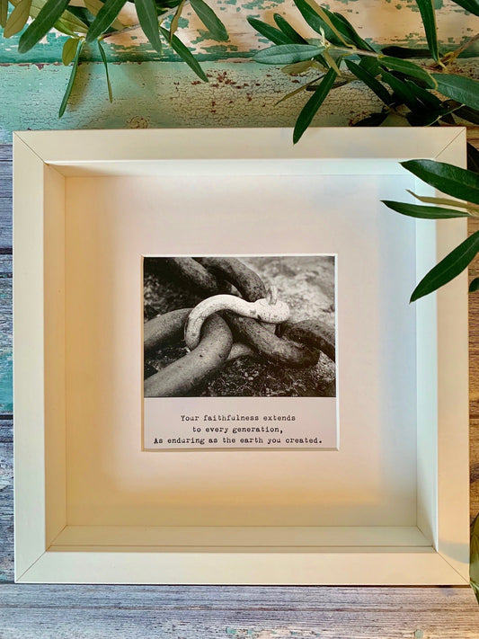 Every Generation Framed Fieldnote