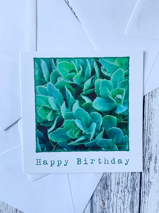 Happy Birthday