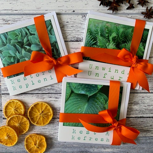 Rest, Unwind, Restore Pack of 3