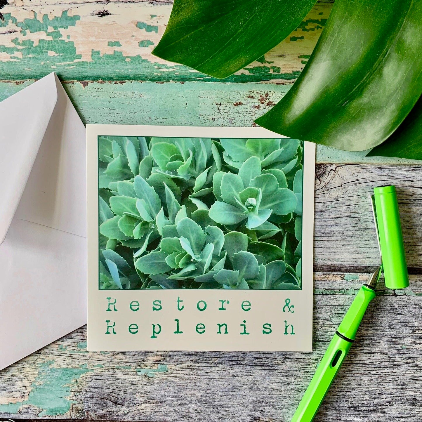 Restore & Replenish